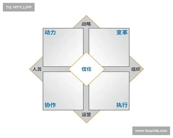 队内竞争与协作平衡：如何在激烈竞争中促进团队整体表现与创新活力